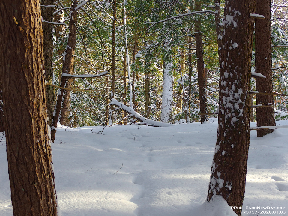 73757CrReLe - Snowshoeing with John - Deb